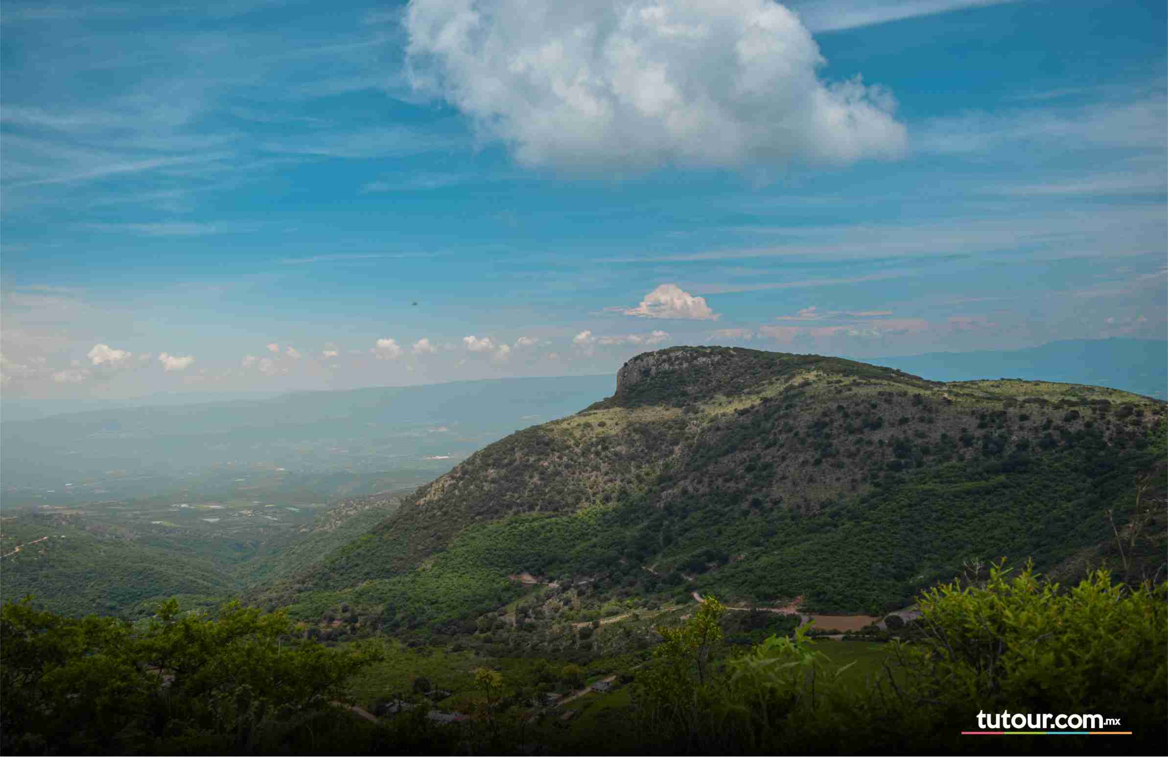 SIERRA DE LAUREL - CALVILLO - 
