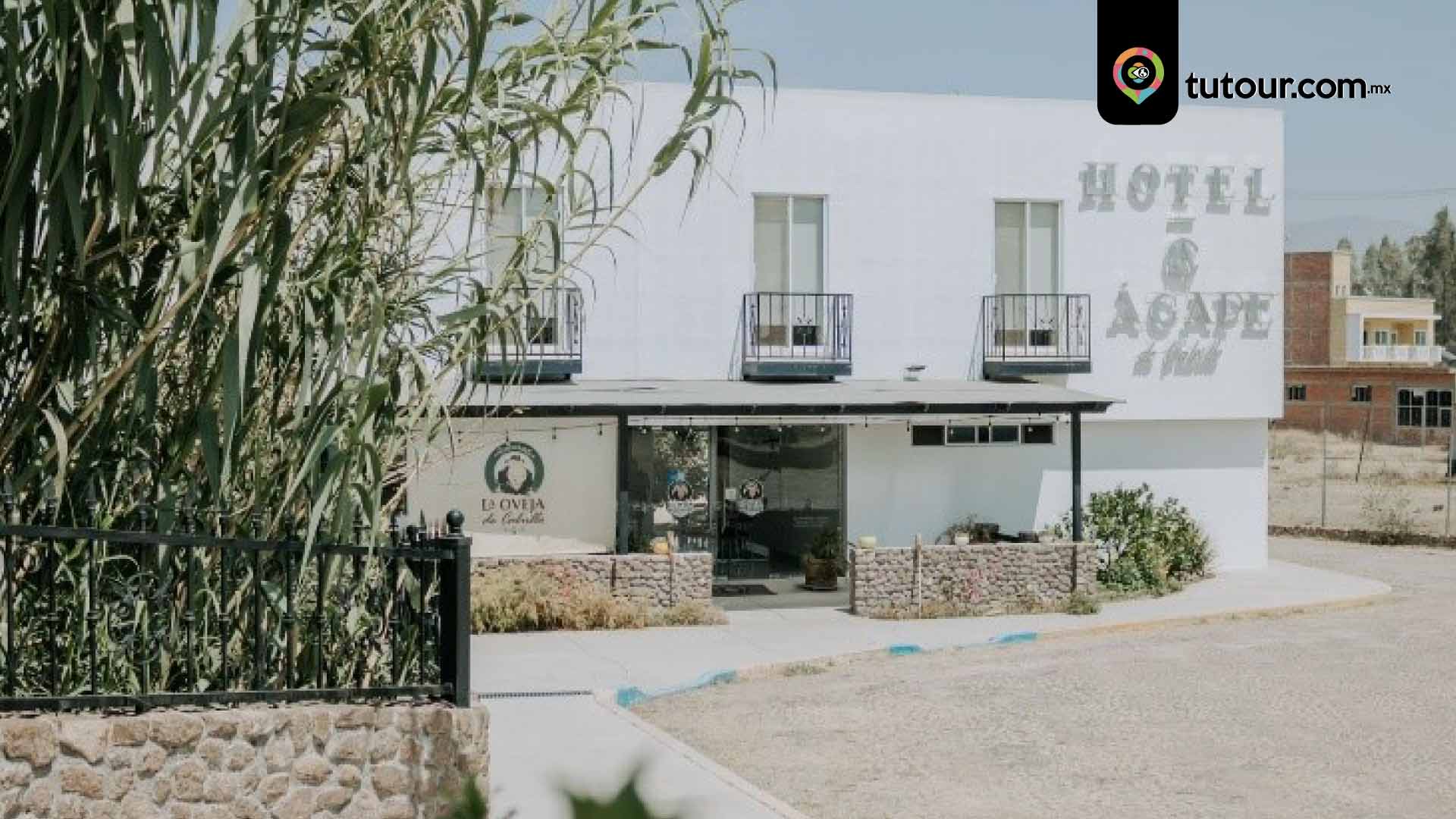 Restaurante La Oveja de Calvillo